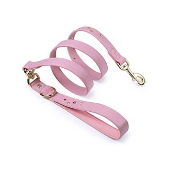 Blueberry Pet Microfiber Faux Leather Dog Leash