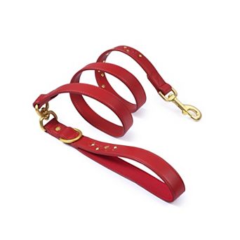 Blueberry Pet Microfiber Faux Leather Dog Leash