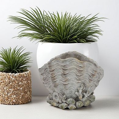 Coastal Clam Shell Planter w Coral Accents, Weathered Gray Terracotta