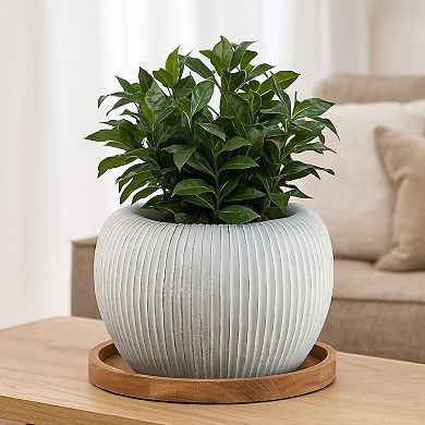 Nios Decorative Vase, Short and Wide, 17 Inch Weathered White Resin