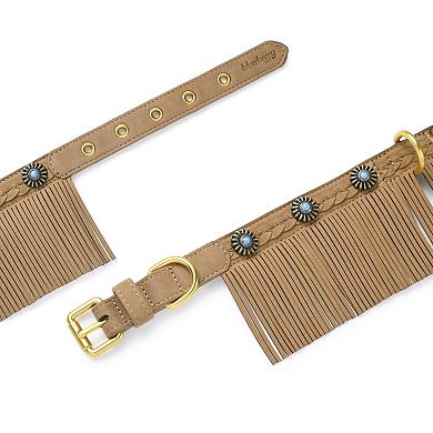 Blueberry Pet Microfiber Suede Dog Collar with Fringe Detail