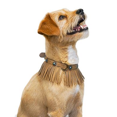 Blueberry Pet Microfiber Suede Dog Collar with Fringe Detail