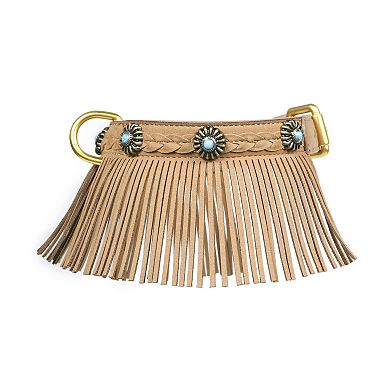 Blueberry Pet Microfiber Suede Dog Collar with Fringe Detail