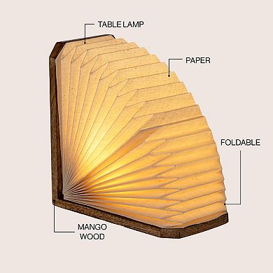 Darla Modern Art Deco Paper Half Pleated Fan LED Table Lamp, Natural