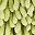 Green Leaf Solid Pink