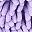 Purple Leaf Solid Pink