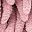 Solid Pink
