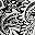 Black Paisley