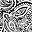 Black Paisley