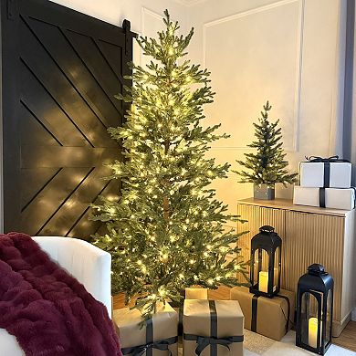 7 Foot Pre-Lit Alberta Alpine Fir Christmas Tree with 400 Warm White LED Lights