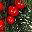 Green And Red