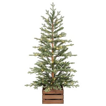 4.5 Ft. Alberta Alpine Potted Tree, 120 Warm White LED Lights, Twinkle and Steady Light Functions
