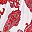 Red Multicolor