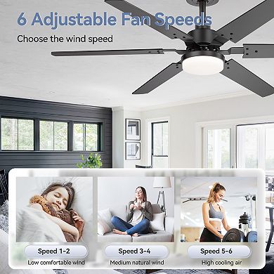 46-Inch 2-pack Ceiling fan, integrated light, 6 plywood blades, DC motor, 6-speed remote