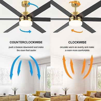 65-Inch large fan, 6 reversible blades, DC motor, 3-color LED light, remote, 6/12" downrods