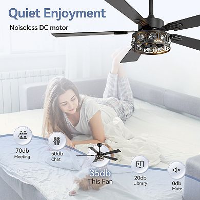 48-Inch Ceiling fan, 5 plywood blades, 6 speeds, DC motor, 4&8" downrods, remote