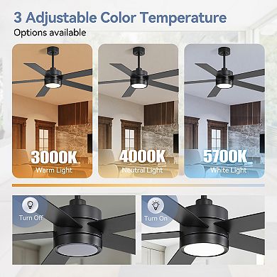 52-Inch LED ceiling fan, 5 plywood blades, DC motor, 6-speed remote, timer, memory