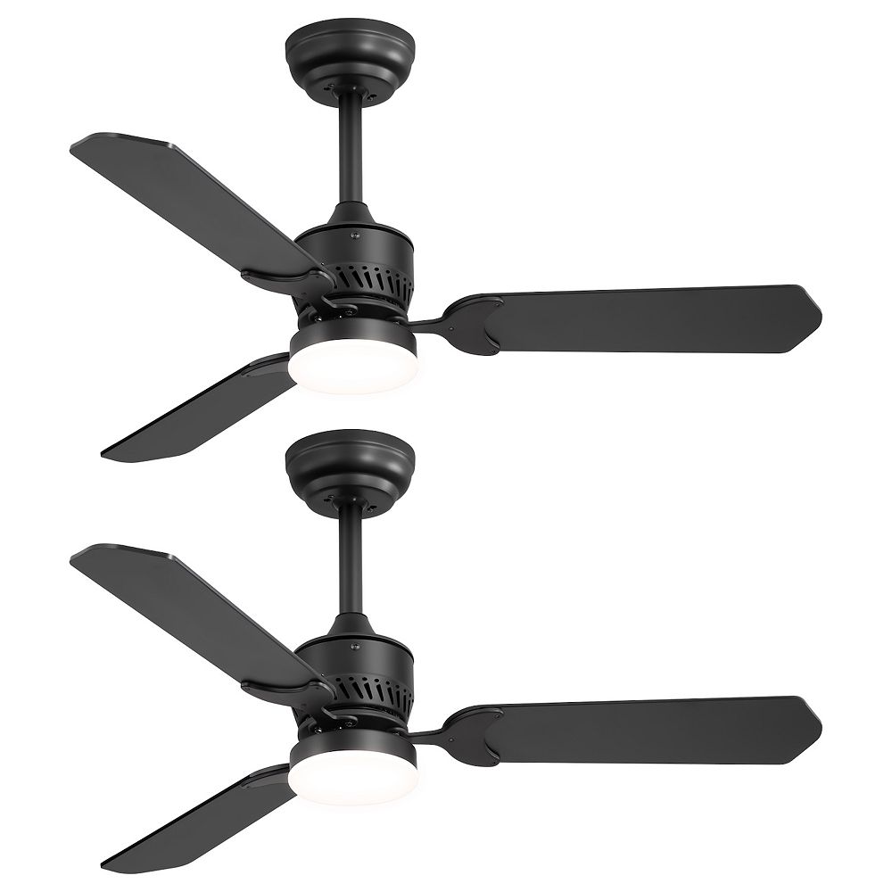 42-Inch traditional 2-pack fan, 3 plywood blades, 2 downrods, 6-speed ...