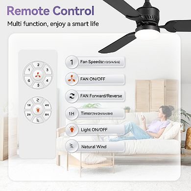42-Inch traditional 2-pack fan, 3 plywood blades, 2 downrods, 6-speed DC motor, remote
