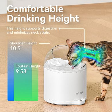 CATLINK Pure 2 Cat Water Fountain with Wireless Pump