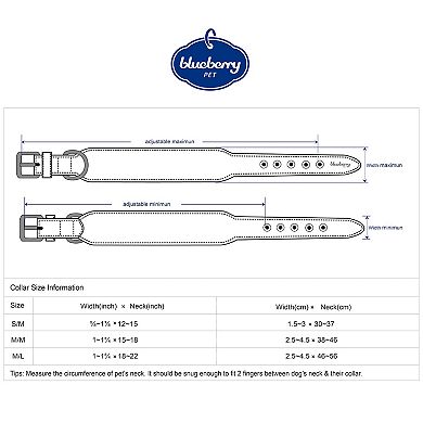 Blueberry Pet Western Genuine Leather Dog Collar
