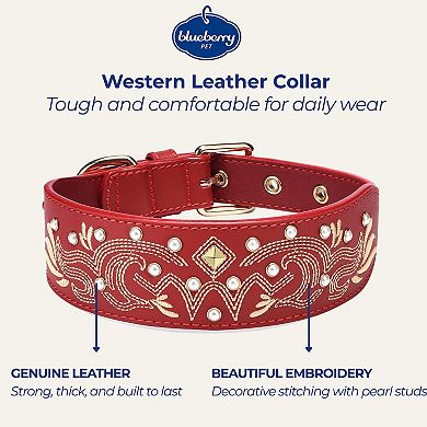 Blueberry Pet Western Genuine Leather Dog Collar