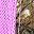 Realtree Edge