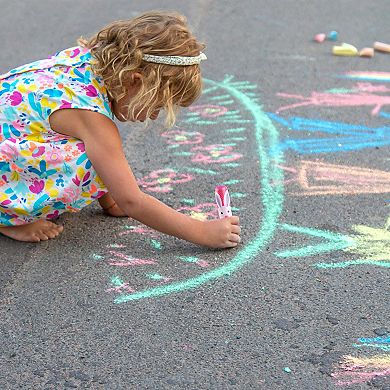 Chalk Markers 4-pc. Animal Theme Art Set