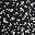 Black Ditsy