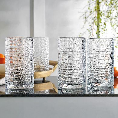 Home Essentials 4-Piece Autobiography Highball Glass Set