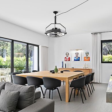 20" Industrial Black Integrated LED Caged Ceiling Fan Wall Mounted Fan with Light