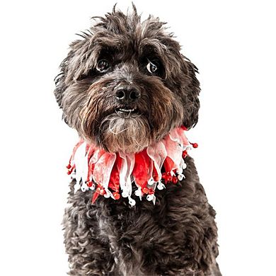 Midlee Candy Cane Christmas Decorative Dog Collar