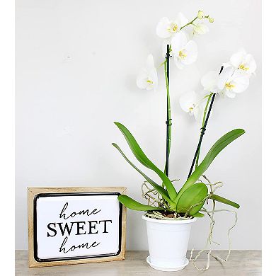 4.5" Orchid Pot Set, 4Pack; Mesh Insert, Decorative Outer Pot & Drain Tray