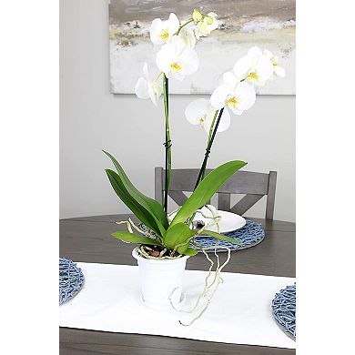 4.5" Orchid Pot Set, 4Pack; Mesh Insert, Decorative Outer Pot & Drain Tray