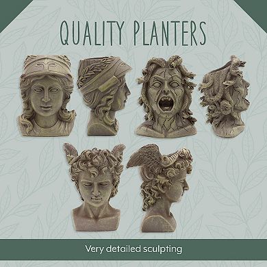 Mini Resin Greek Planters, 3Pack; Medusa, Athena, and Perseus Head Pots