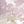 Magic Mauve