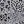 Grey Animal