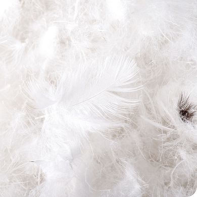 All Seasons Down Comforter