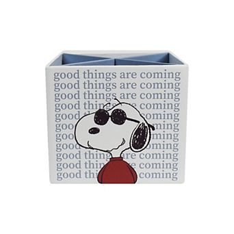 The Big One® Peanuts Snoopy Joe Cool Pencil Organizer