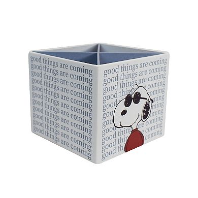 The Big One Peanuts Snoopy Joe Cool Pencil Organizer