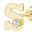 14k Gold S