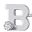 14k White Gold B