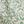 Green Patterned