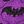 Batty Nights