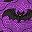 Batty Nights