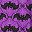 Batty Nights