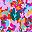 Fruit Punch Flowers