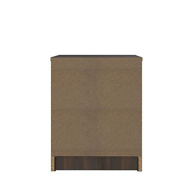 15.74 in. Rectangle Wood End Table with 2 Drawers