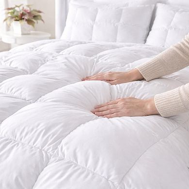BrylaneHome 200 Thread Count Cotton Comforter