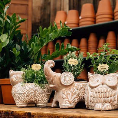 Trumpeting Elephant Planter
